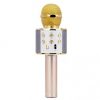 Microfon karaoke, wireless, boxa incorporata, egalizator, reincarcabil, Rotosonic, culoaremodel Auriu