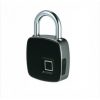 Lacat USB cu amprenta, Gonga®, culoaremodel Gri