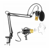 Set microfon omnidirectional cu condensator de studio BM800, auriu, Gonga®, culoaremodel Auriu